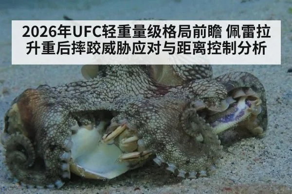 2026年UFC轻重量级格局前瞻 佩雷拉升重后摔跤威胁应对与距离控制分析